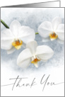 White orchid flower painting thank you card