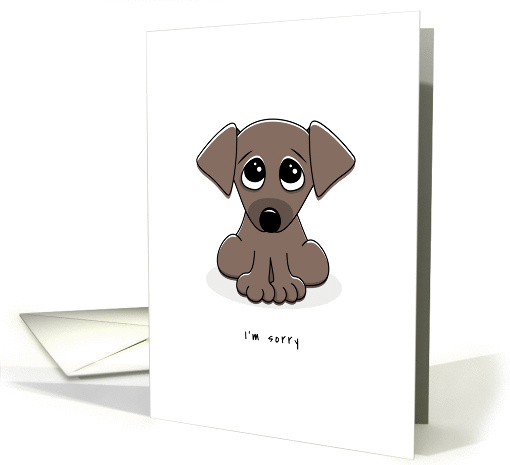 I'm sorry greeting card with cute, sad puppy dog card (1450720)