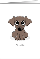 I’m sorry greeting card with cute, sad puppy dog card