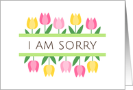 I’m sorry greeting card with pink and yellow tulip borders card