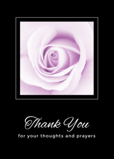 Purple rose thank...