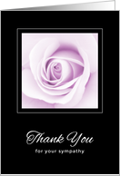 Purple rose thank...