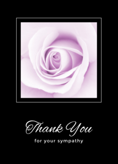 Purple rose thank...