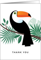 Toucan thank you card