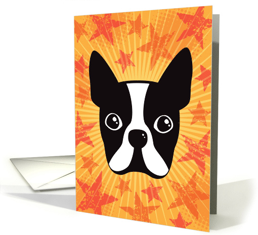 Boston terrier on sunburst and orange, grunge stars any occasion card