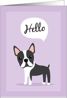 Boston terrier dog saying hello card