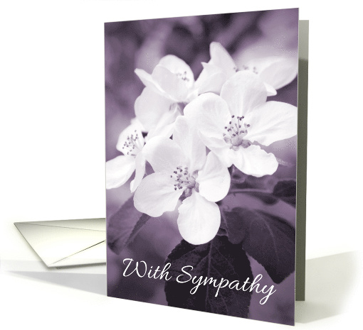 Purple apple blossom sympathy card (1528686)