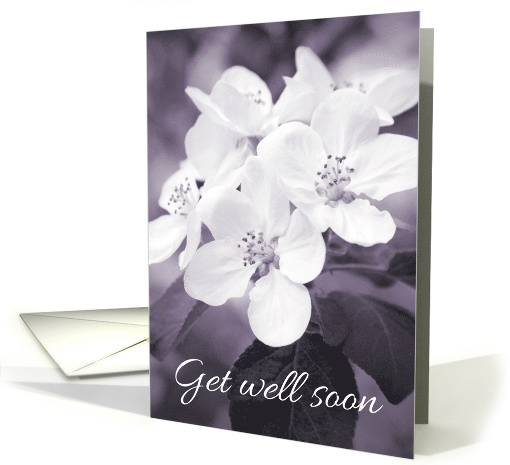 Get Well Soon card with Purple Apple Blossom card (1538494)