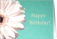 Happy Birthday!, White Daisy on Blue card