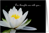 Our thoughts are...