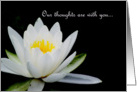 Our thoughts are with you. White water lily on black card