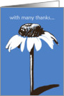 With many thanks. White flower on blue. card