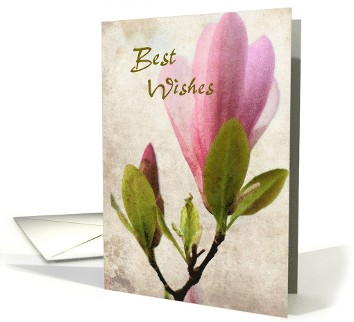 Best wishes...Pink magnolia blossom card (662383)