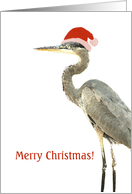 Merry Christmas...Heron on white card