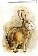 Happy Birthday, Brown Rabbit card