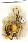 Happy Birthday, Brown Rabbit card