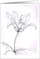 Lily card