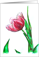 Pink Tulip card