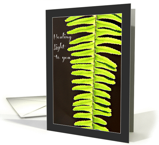 Healing Light Sword Fern Photo, Blank Inside card (1046105)