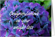 Congratulations on Your Weight Loss, Purple Hydrangea Photo card