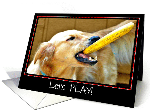 Let's Play! Dog with Frisbee Photo, Blank Inside card (940140)