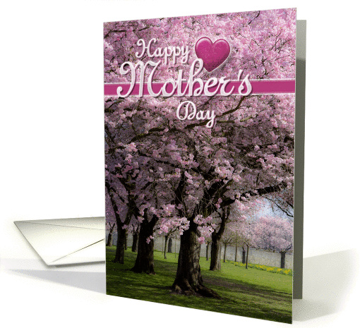 Cherry Tree Flowers for a Happy Mother's Day card (924521)