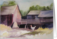 Barnyard Boss, Chicken and Barns card