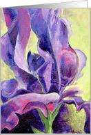 Iris in Purple &...