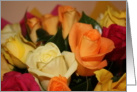 Spring Rose Card