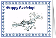 Happy Birthday - spaniel dog with big stick card