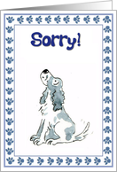 Sorry - cute spaniel dog card