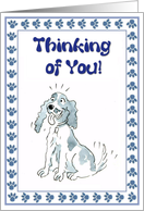 Thinking of you - cute spaniel dog card