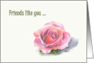 Pink Friendship Rose on Ivory card