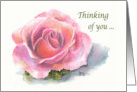 Pink Rose of Friendship Thinking of You card