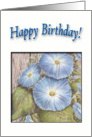 Morning Glory Birthday Wishes card