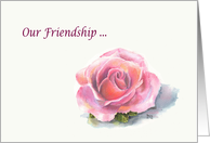 Pink Friendship Rose on Ivory card