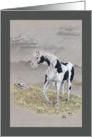 Encouragement, Stormy Day - pinto horse illustration card