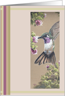 Ruby throated hummingbird, birthday card