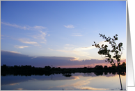 pond at dusk card