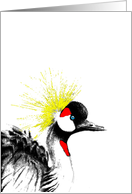 Bird of Striking beauty card