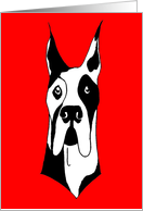 Canine card