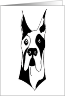 Great Dane