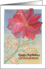 Red Bloom Happy Birthday Grandma card