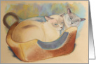 Two Tonkineses Note Card