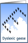 Dyslexic geese card