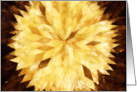 Yellow Floral, Blank Note Cards