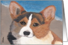 Seaside Fun Corgi card