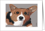 Pembroke Welsh Corgi,Blank Note Card