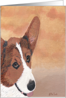 Pembroke Welsh Corgi Any Occasion, Blank Note Card