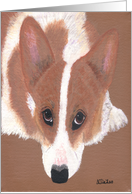 Pembroke Welsh Corgi Any Occasion, Blank Note Card